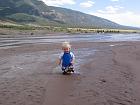 153_5338