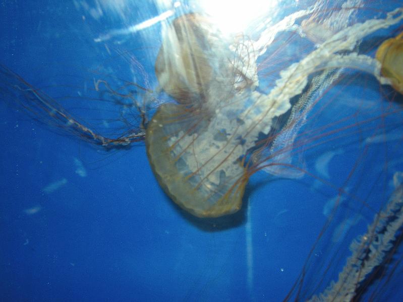 DSCN0402.JPG