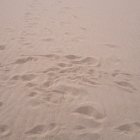 thumbnails/178-IMG_0831.JPG.small.jpeg