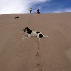 thumbnails/185-IMG_0839.JPG.small.jpeg