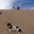 thumbnails/186-IMG_0840.JPG.small.jpeg