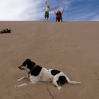thumbnails/188-IMG_0841.JPG.small.jpeg
