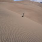 thumbnails/195-IMG_0848.JPG.small.jpeg