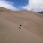 thumbnails/196-IMG_0849.JPG.small.jpeg