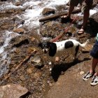 thumbnails/246-IMG_0901.JPG.small.jpeg