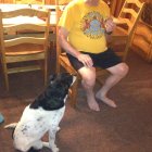 thumbnails/254-IMG_0909.JPG.small.jpeg