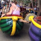 thumbnails/284-IMG_0943.JPG.small.jpeg