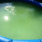 thumbnails/332-IMG_1010.JPG.small.jpeg