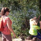 thumbnails/384-IMG_1101.JPG.small.jpeg