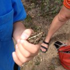 thumbnails/394-IMG_1111.JPG.small.jpeg
