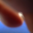 thumbnails/398-IMG_1115.JPG.small.jpeg