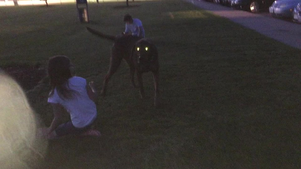 IMG 4275