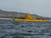 IMG 3932  Yellow Submarine