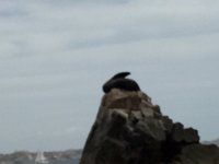 IMG 3944
