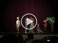 IMG 4135
