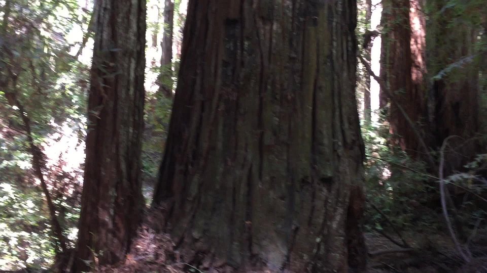 IMG 4637
