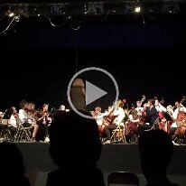Nice Tucker Violin 1