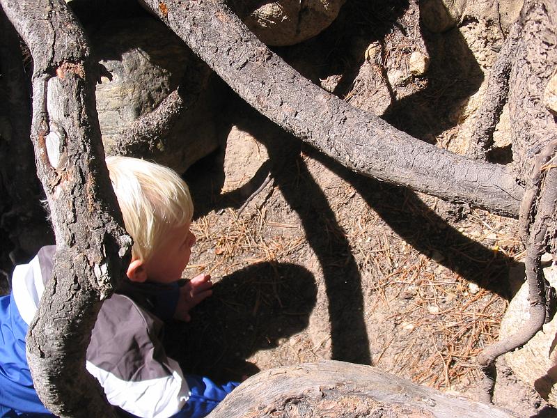 154_5426.JPG