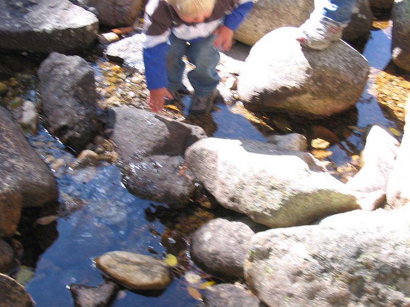 154_5433.JPG