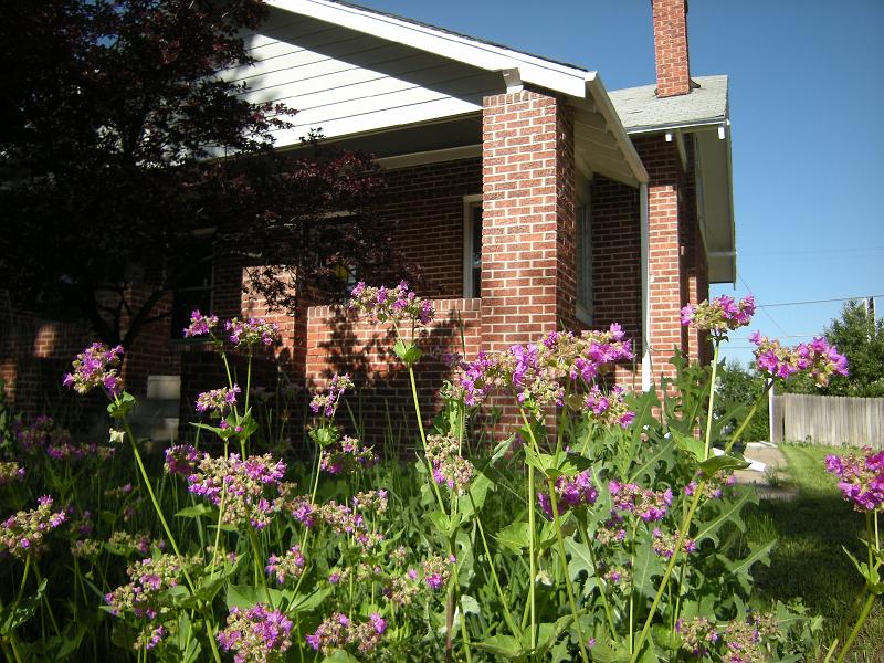 DSCN0213.JPG