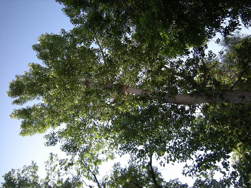DSCN0273.JPG