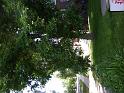 DSCN0271